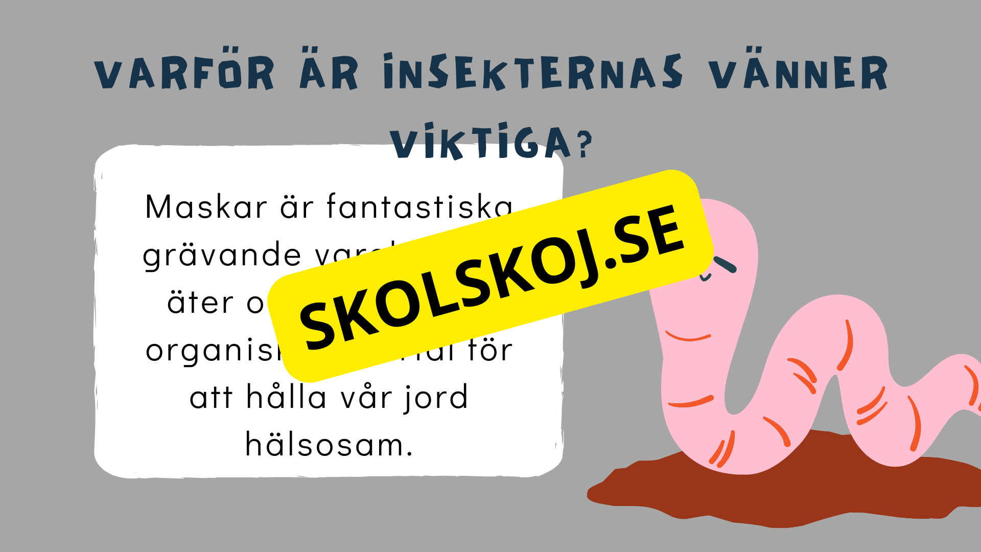 Upptäck insekternas värld - Häfte