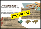 Grundläggande evolution - Årskurs 6 - 9