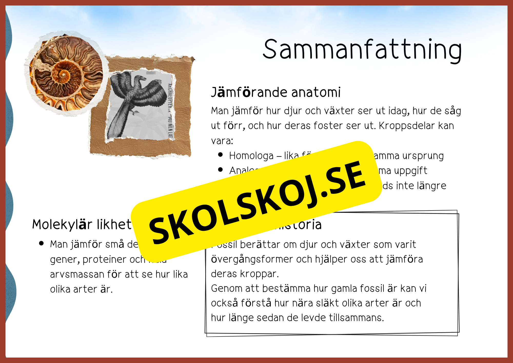 Evolution - Faktatext + frågor