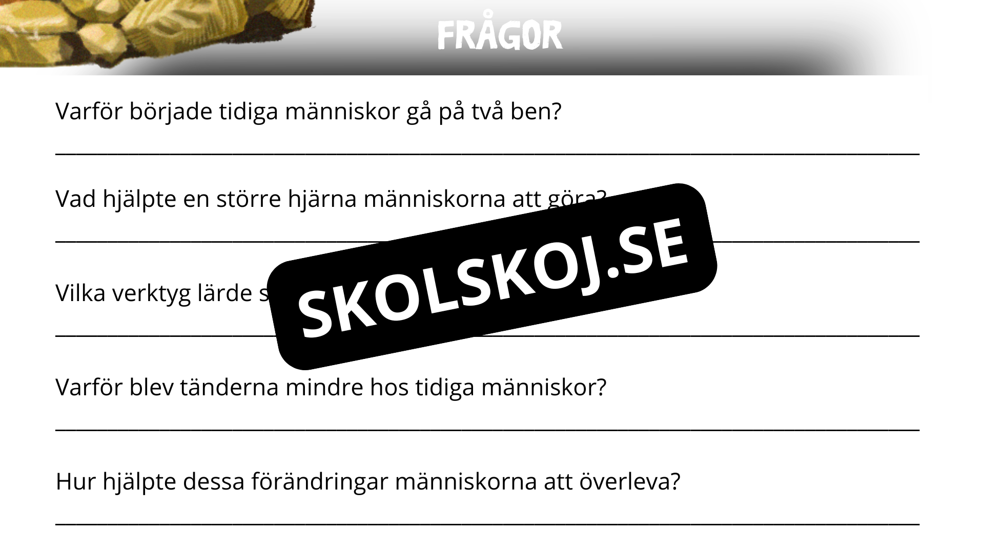 Människans utveckling - Fakta - Presentation - Frågor