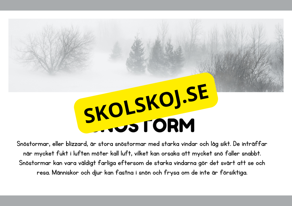 Naturliga katastrofer - Läsförståelse