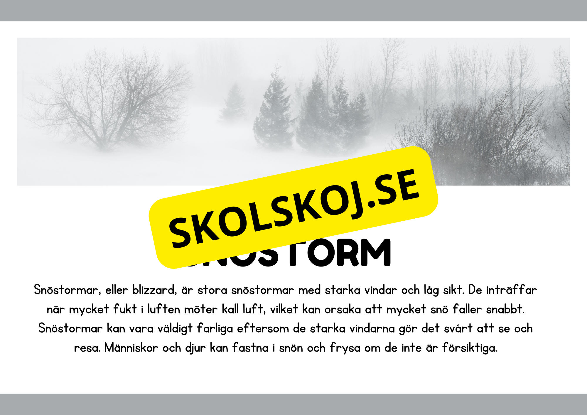 Naturliga katastrofer - Läsförståelse