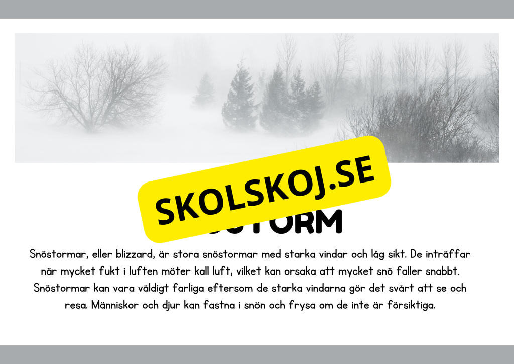 Naturliga katastrofer - Läsförståelse