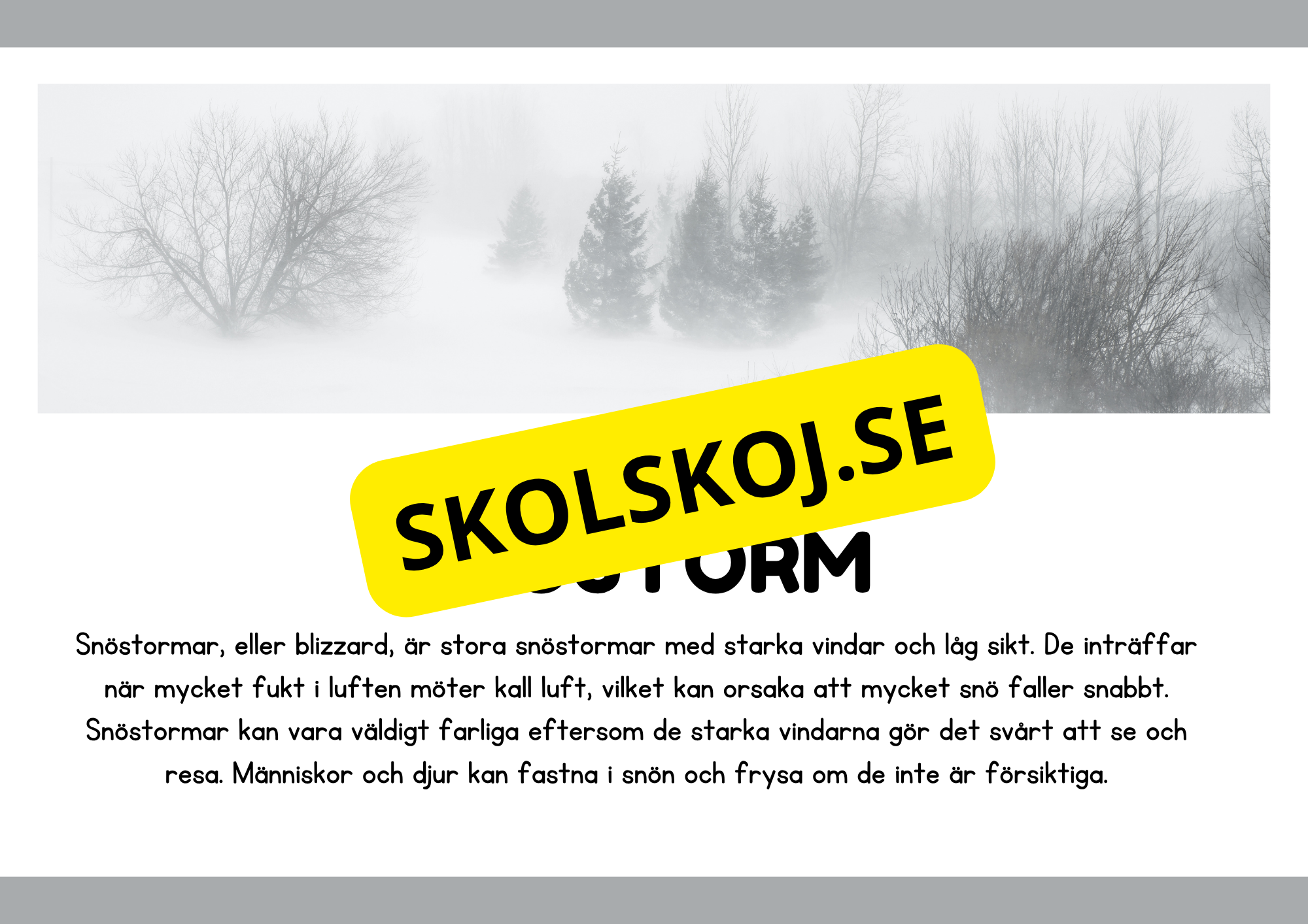 Naturliga katastrofer - Läsförståelse