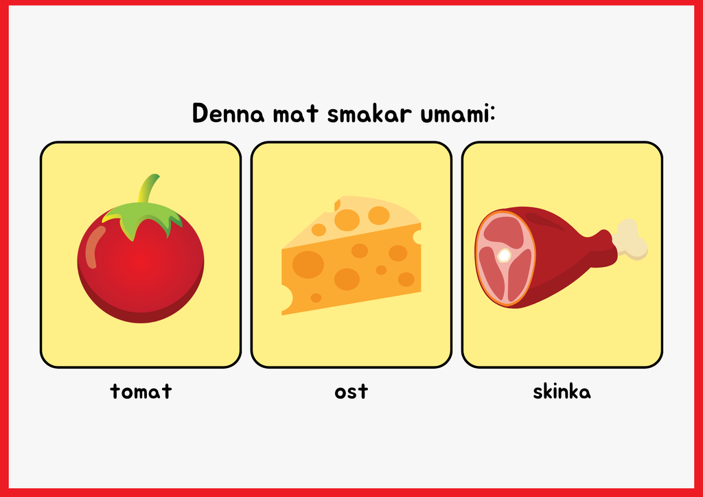 Smaksinnet - Presentation + Frågor (19 sidor)