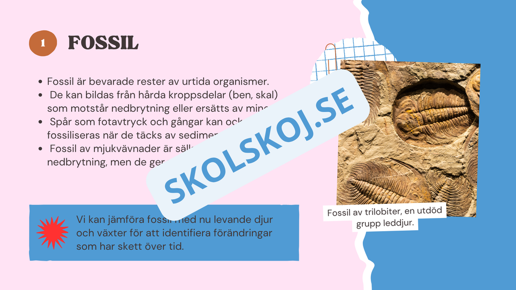 Evolution - Bevisen för hur livet förändras - Årskurs 7 - 9