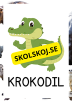 Vilda djur - Bildkort