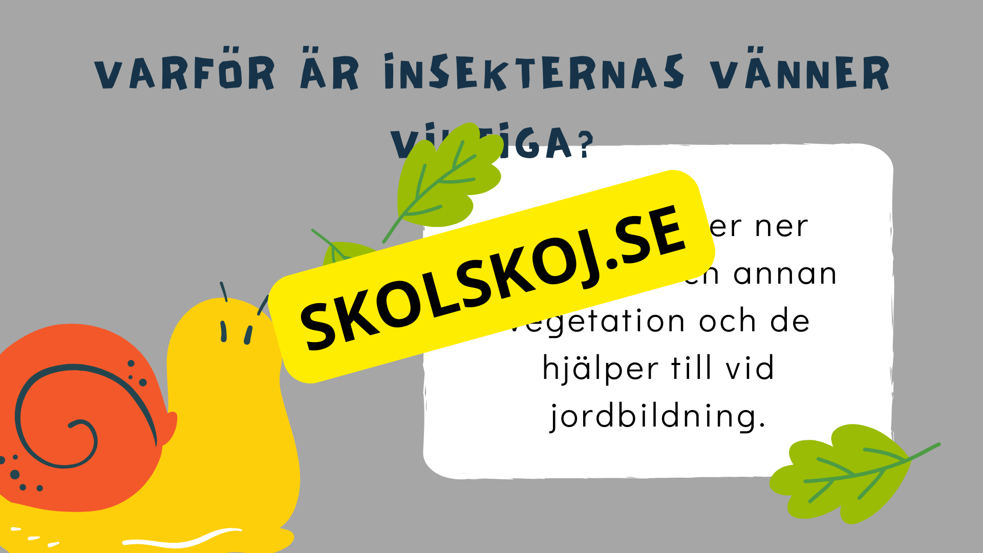 Upptäck insekternas värld - Häfte
