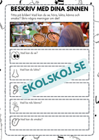 Beskriv med dina sinnen