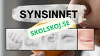 Våra fem sinnen - Presentation