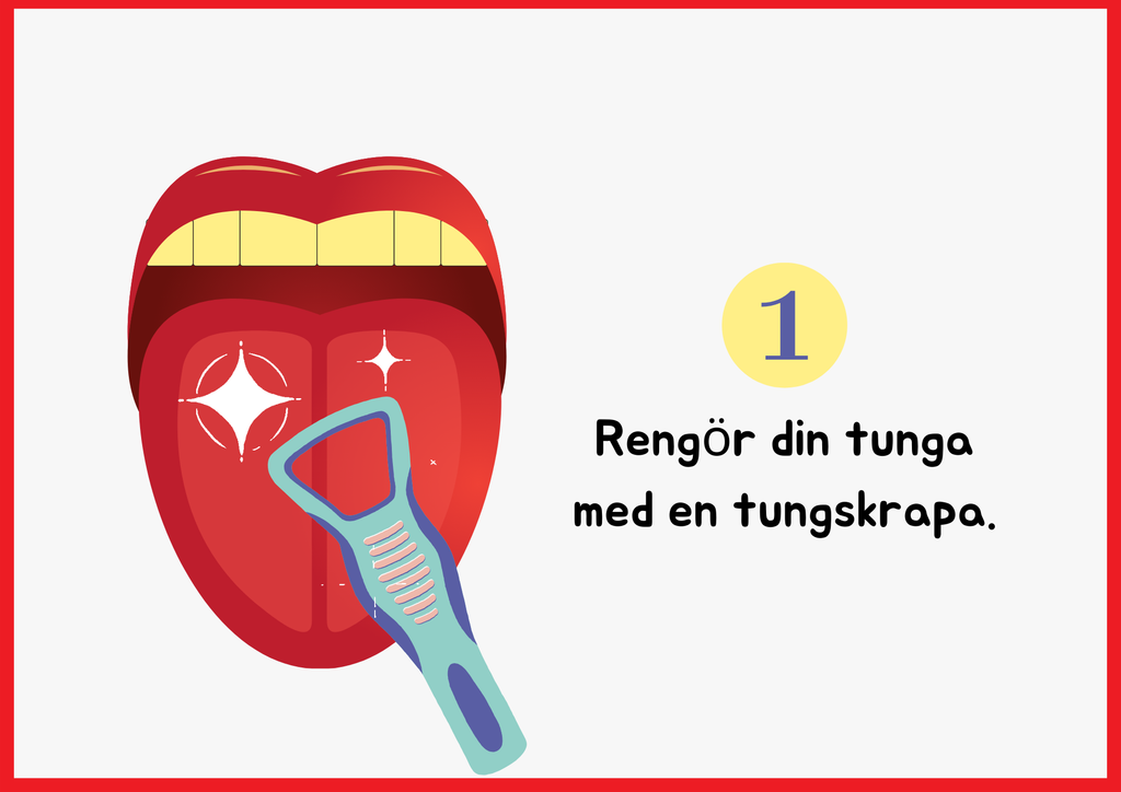 Smaksinnet - Presentation + Frågor (19 sidor)