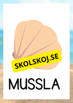Havsdjur - Bildkort