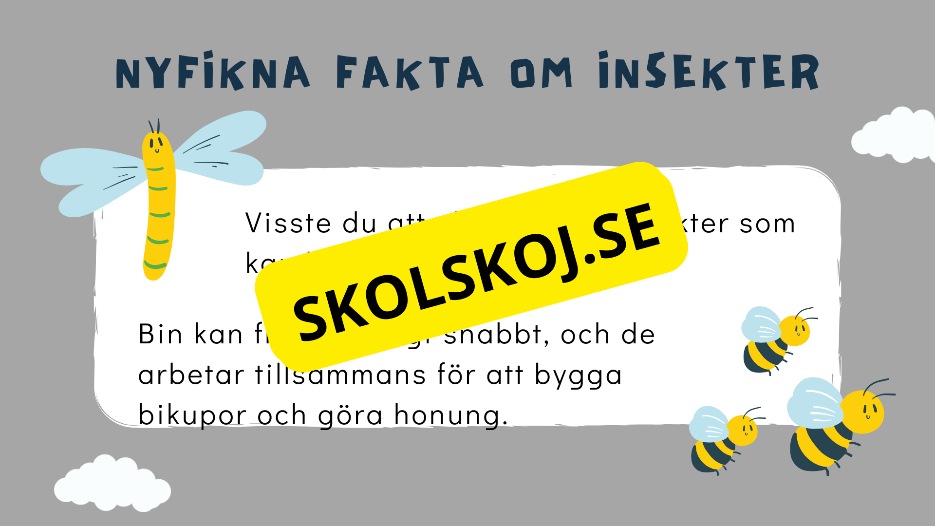 Upptäck insekternas värld - Häfte