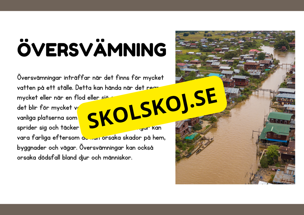 Naturliga katastrofer - Läsförståelse