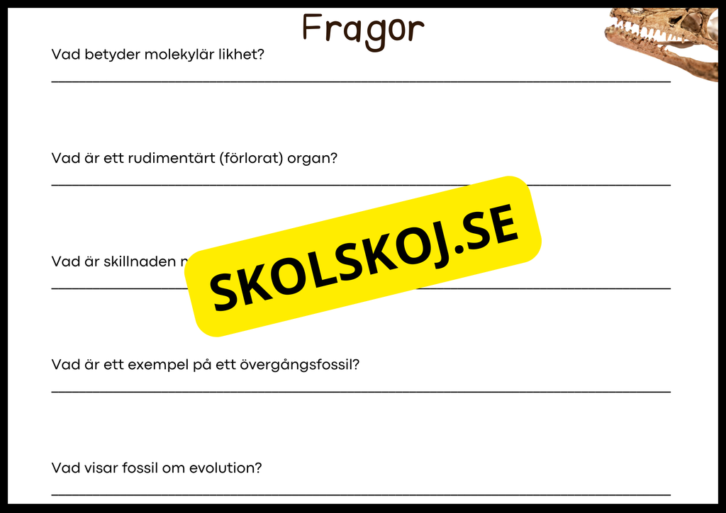 Grundläggande evolution - Årskurs 6 - 9