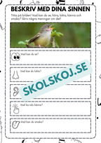 Beskriv med dina sinnen