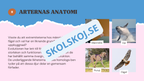 Evolution - Bevisen för hur livet förändras - Årskurs 7 - 9