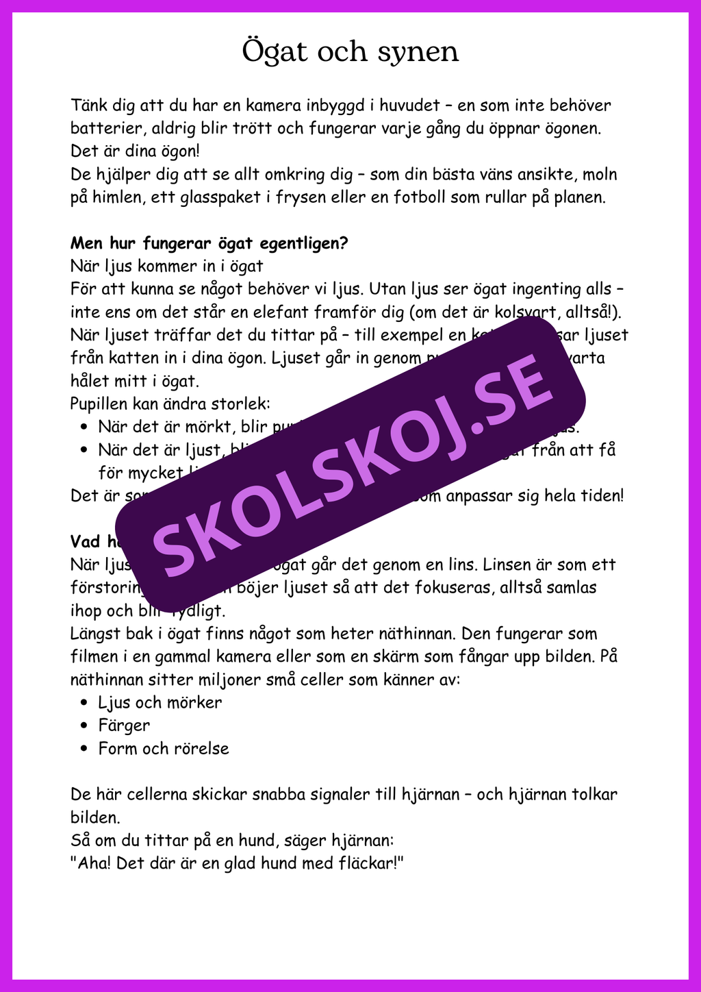 Ljud och ljus - En spännande upptäcktsresa - Årskurs 4 - 6