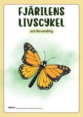 Fjärilens livscykel och förvandling