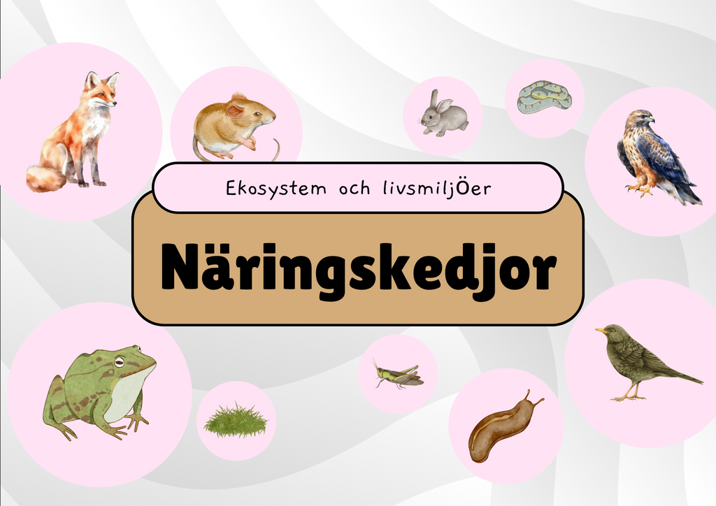 Näringskedjor - Ekosystem och livsmiljöer