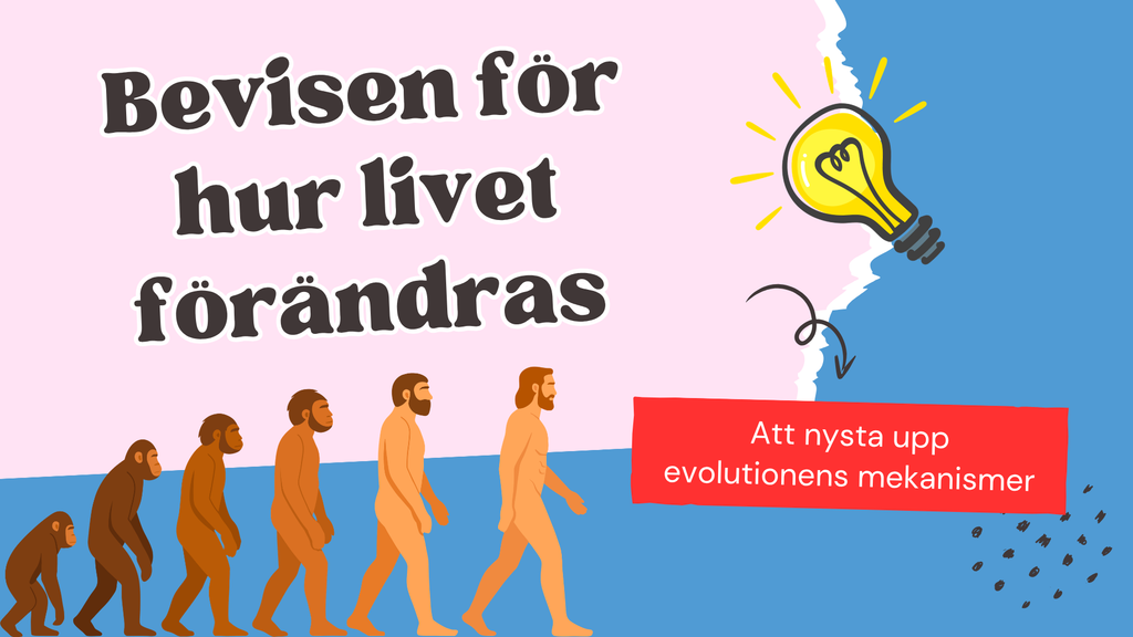 Evolution - Bevisen för hur livet förändras - Årskurs 7 - 9