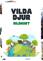 Vilda djur - Bildkort