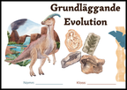 Grundläggande evolution - Årskurs 6 - 9