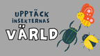 Upptäck insekternas värld - Häfte