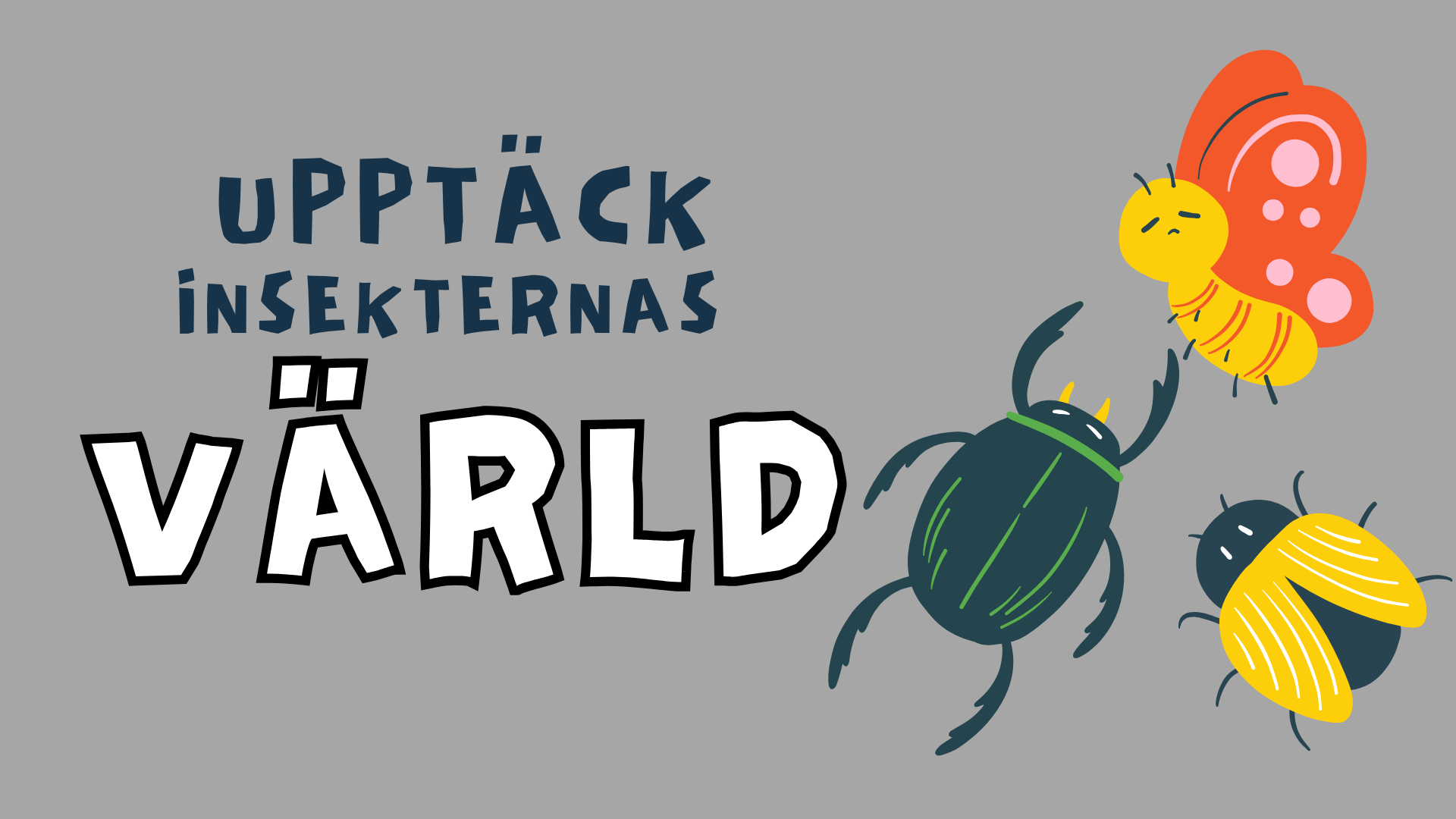 Upptäck insekternas värld - Häfte