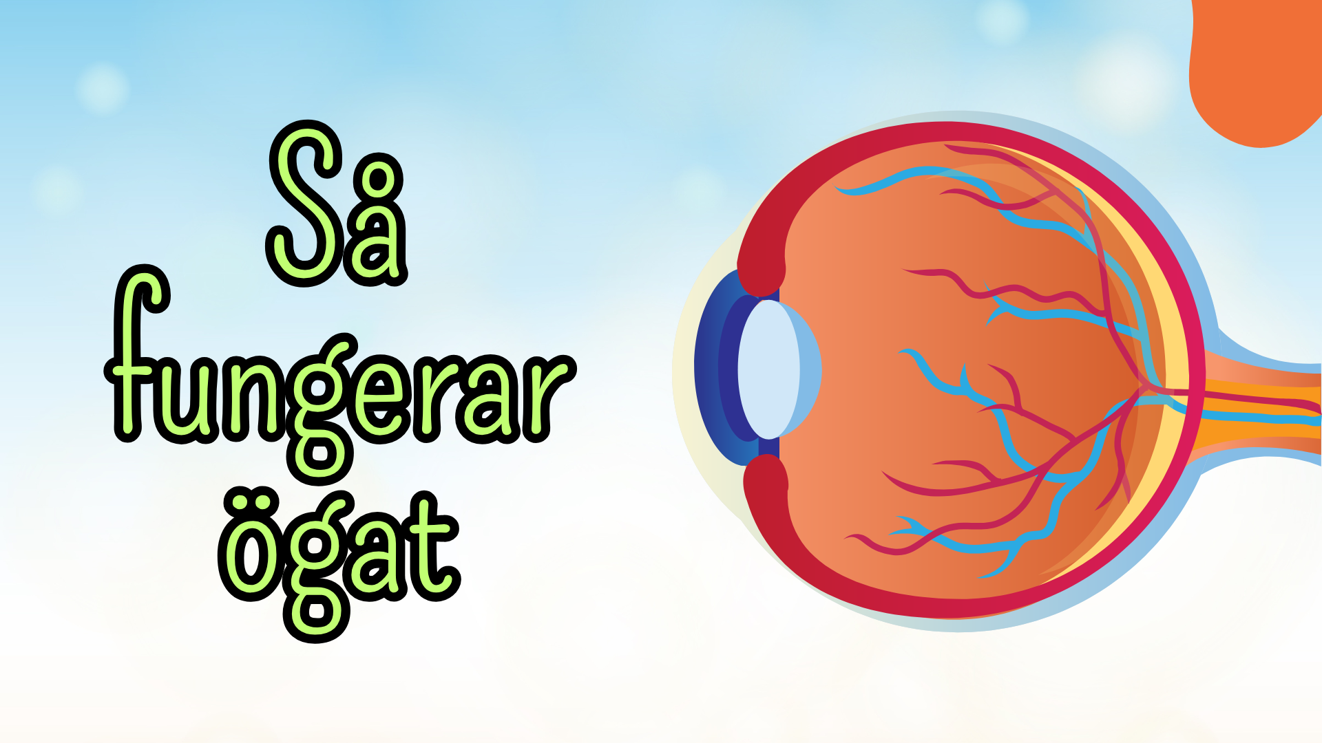 Så fungerar ögat - Presentation + frågor - Åk 4 - 6