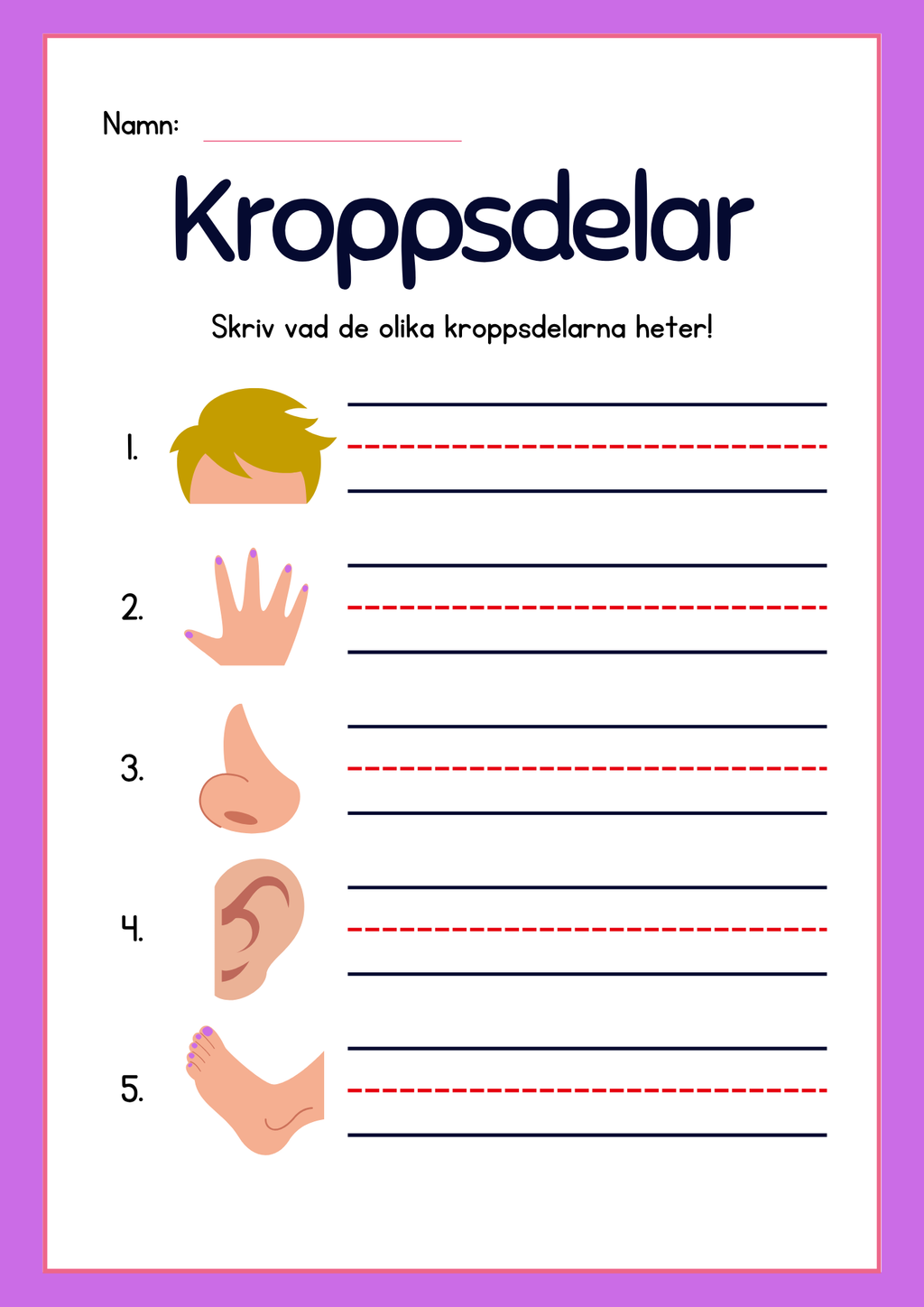 Kroppsdelar – vad heter de - Häfte