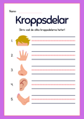 Kroppsdelar – vad heter de - Häfte