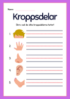 Kroppsdelar – vad heter de - Häfte