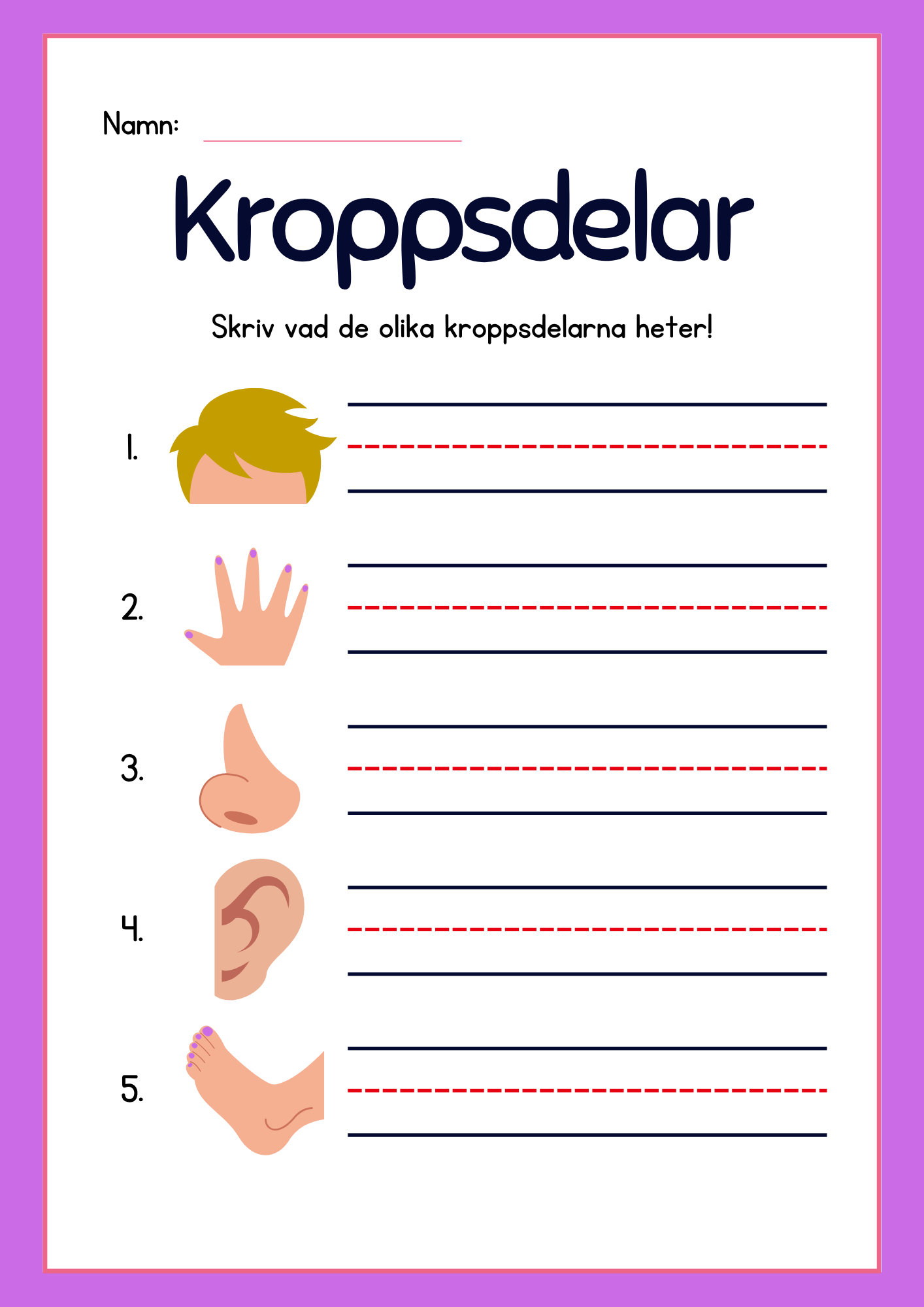 Kroppsdelar – vad heter de - Häfte