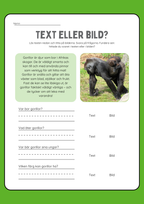 Text eller bild - Läsförståelse