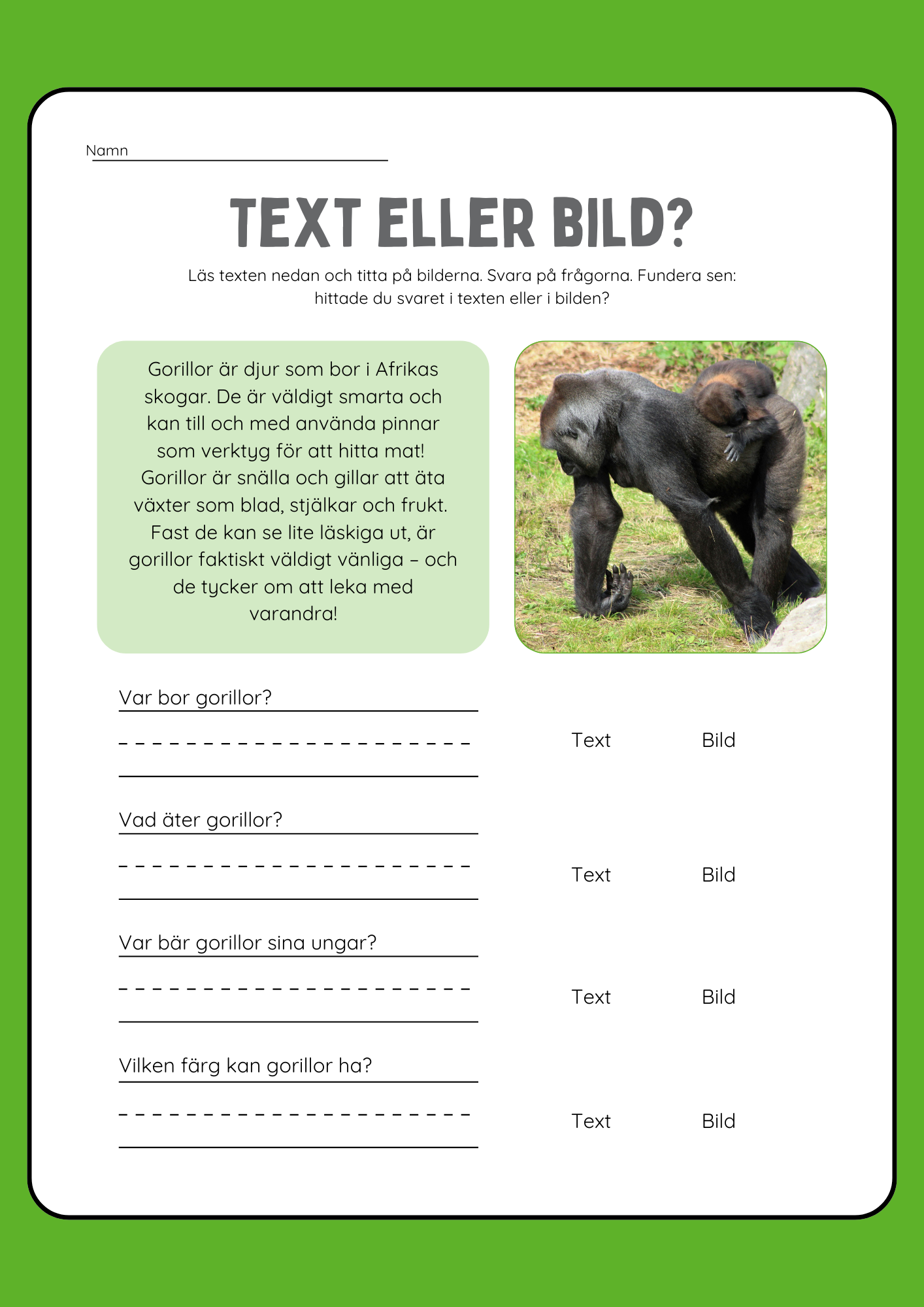 Text eller bild - Läsförståelse