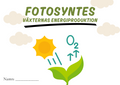 Fotosyntes - Växternas energiproduktion