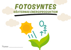 Fotosyntes - Växternas energiproduktion