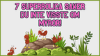 7 superroliga saker du inte visste om myror