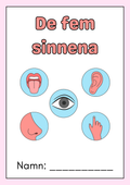 De fem sinnena - Häfte