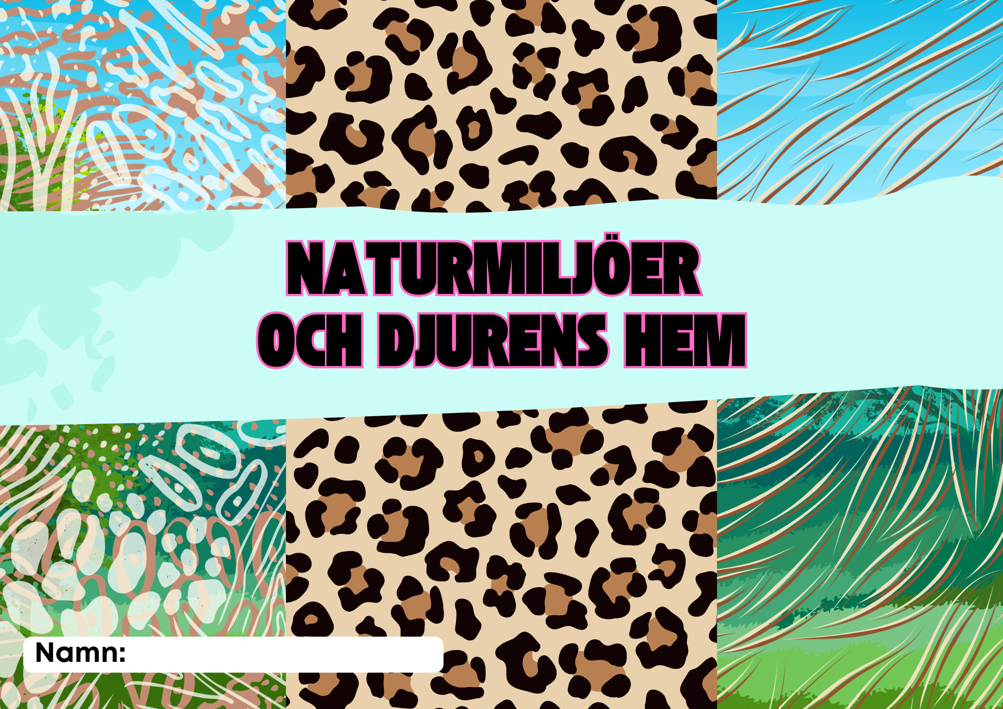 Kort fakta om naturmiljöer och djurens hem + frågor