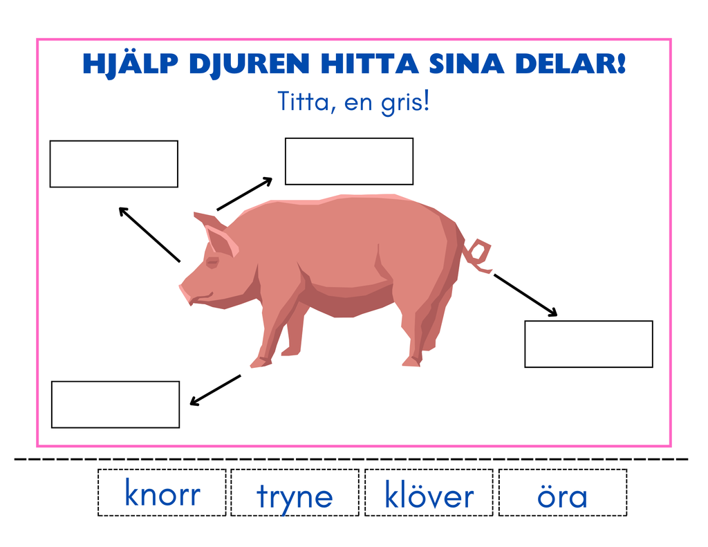Hjälp djuren hitta sina delar - Häfte