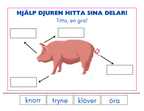 Hjälp djuren hitta sina delar - Häfte