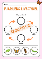 Livscykler - Klipp och klistra