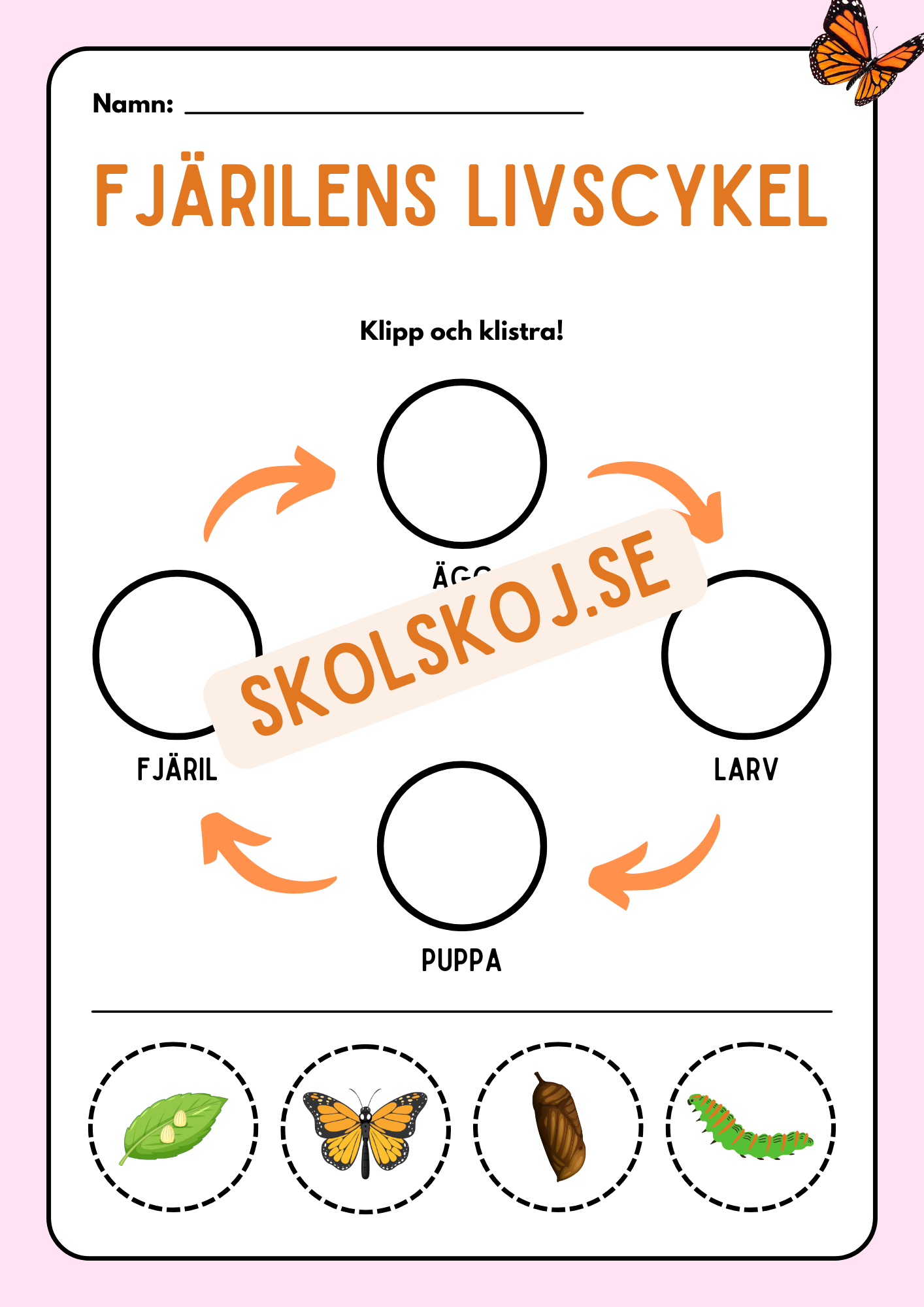 Livscykler - Klipp och klistra