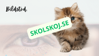 Våra fem sinnen - Presentation