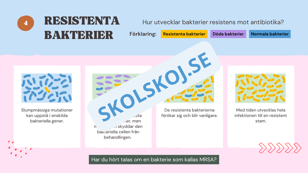 Evolution - Bevisen för hur livet förändras - Årskurs 7 - 9