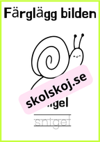 Färglägg bilderna - Skriv ordet