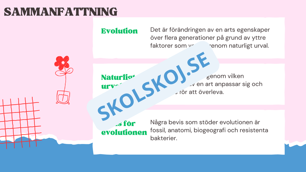 Evolution - Bevisen för hur livet förändras - Årskurs 7 - 9