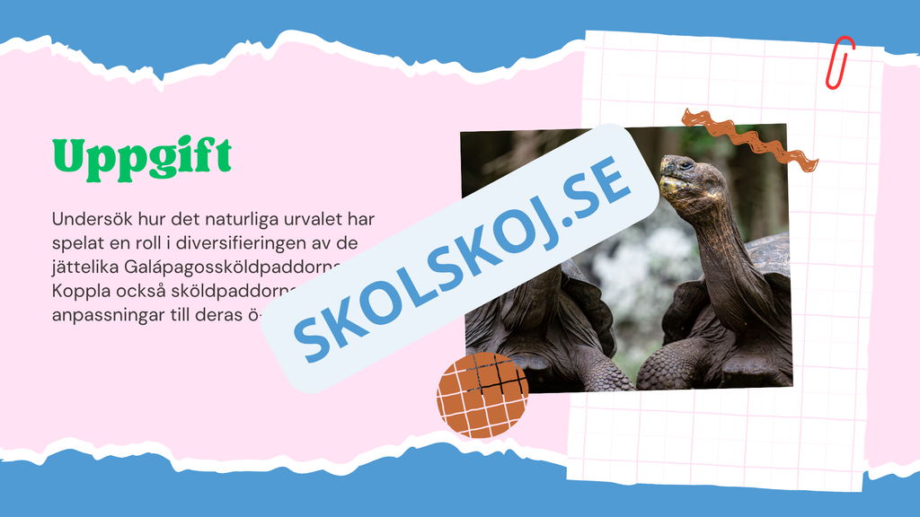 Evolution - Bevisen för hur livet förändras - Årskurs 7 - 9
